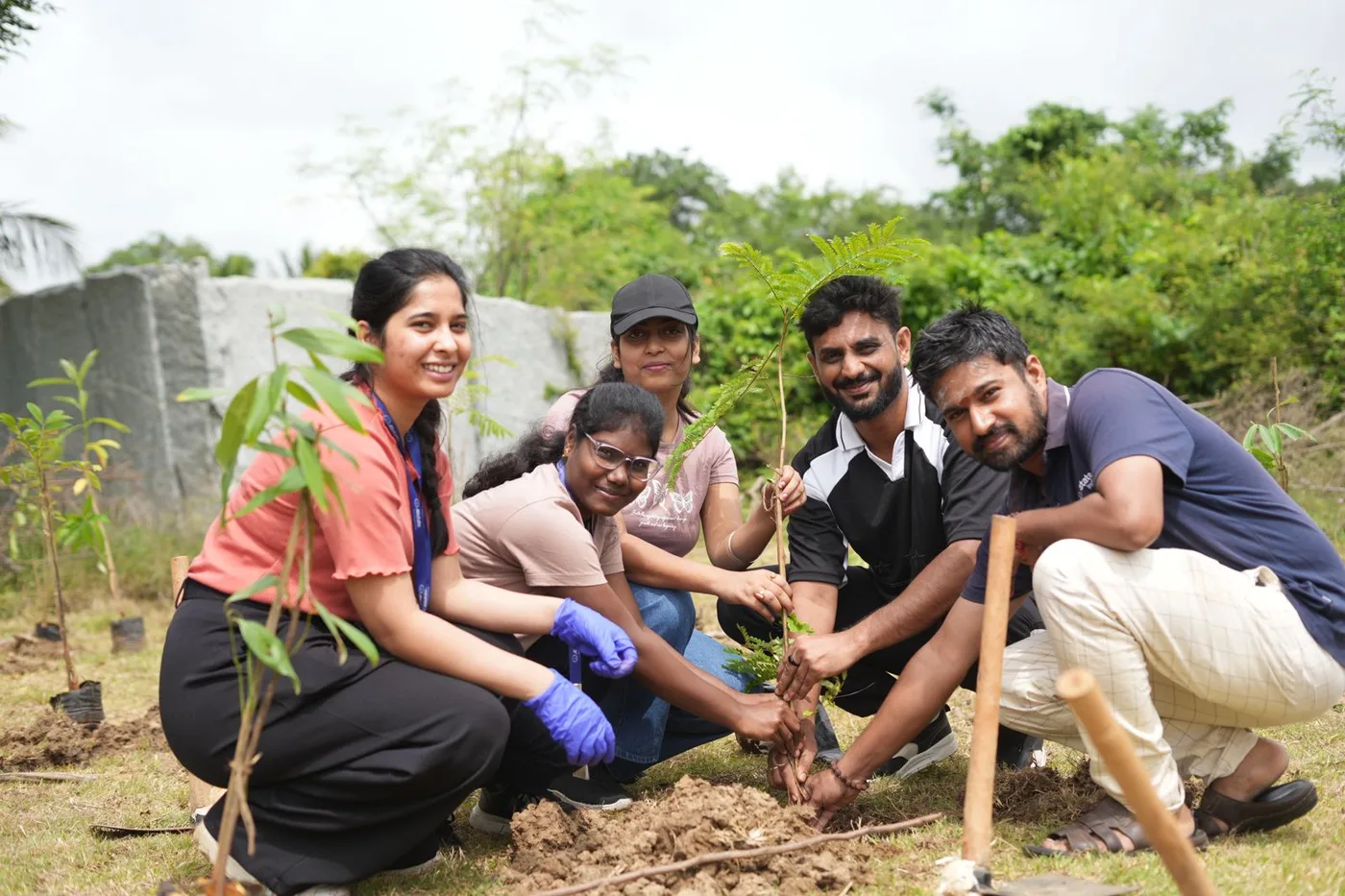 Tree Plantation photo 3
