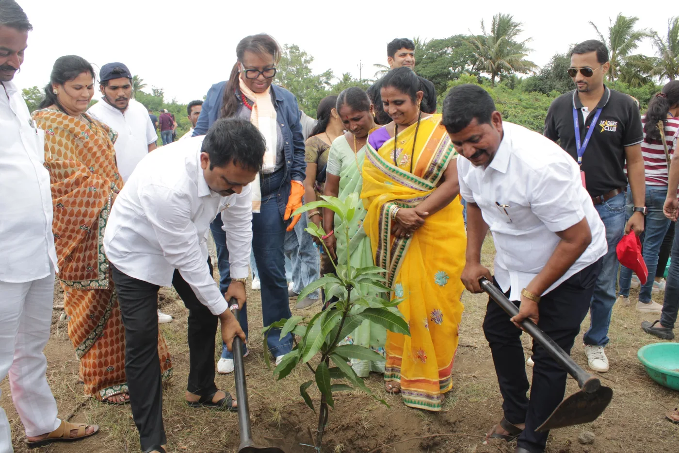 Tree Plantation photo 7
